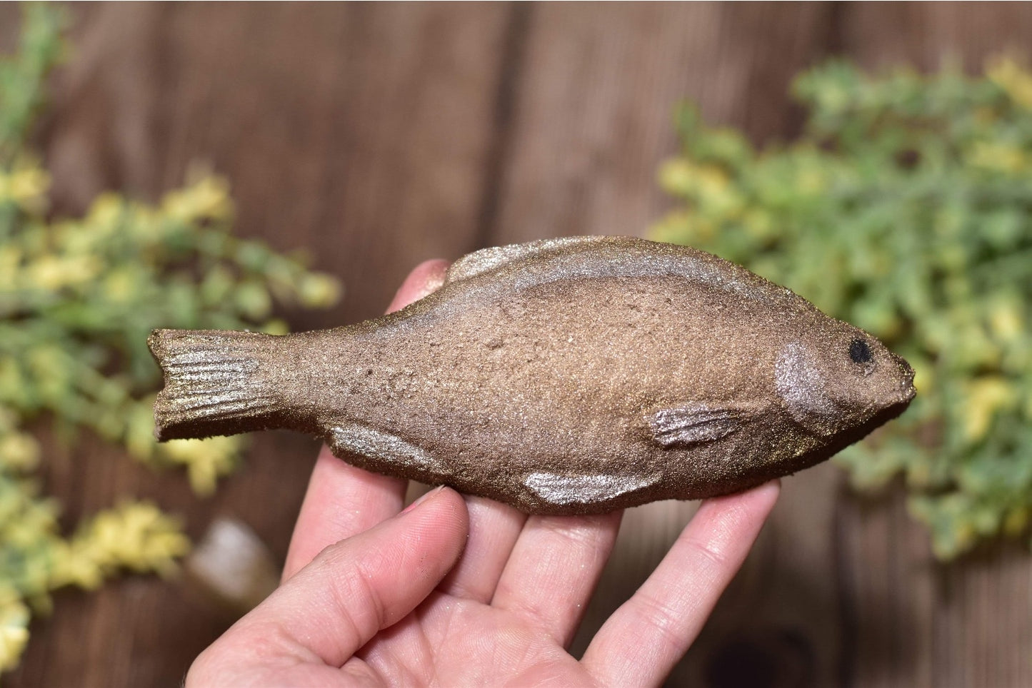 Fish bath bomb