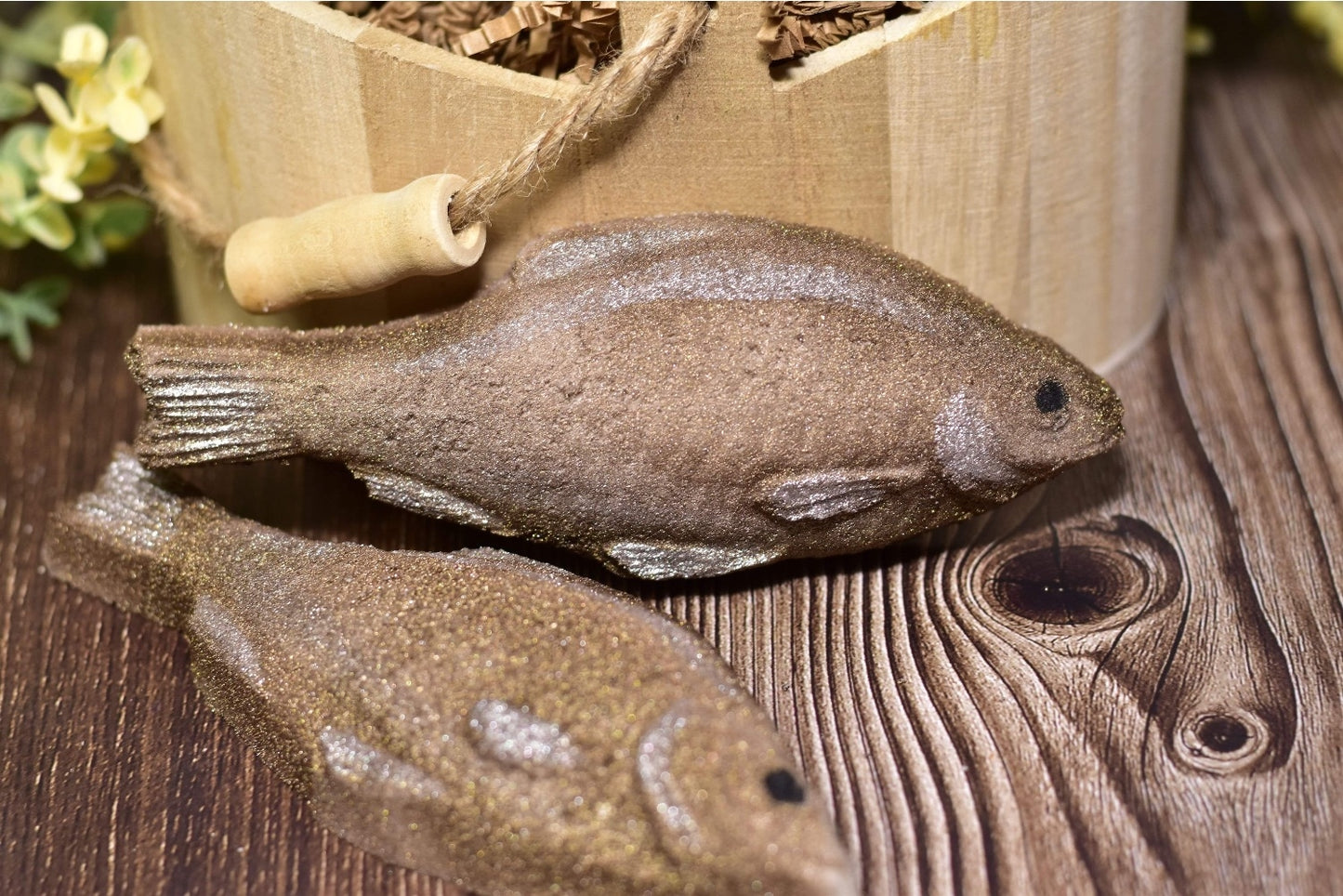 Fish bath bomb