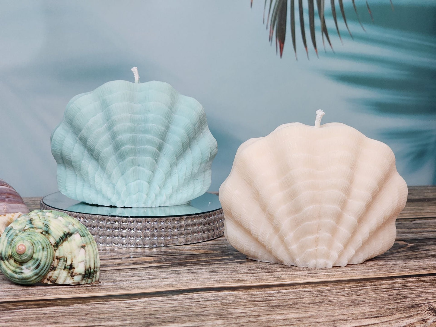 Sea Treasure