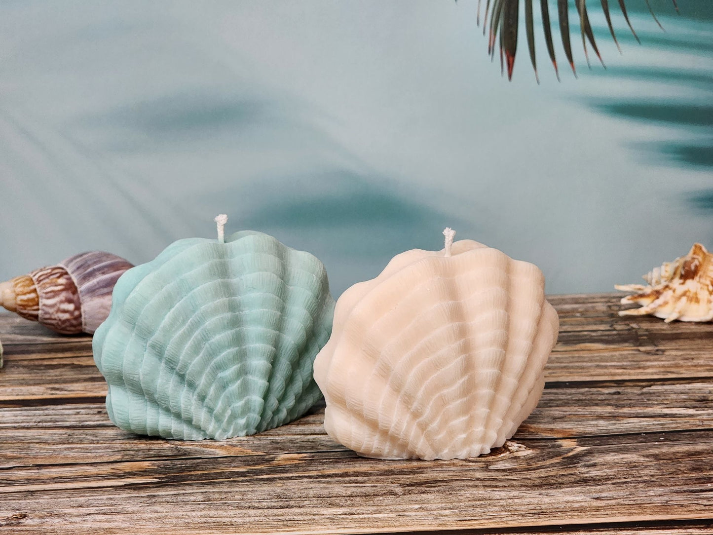 Sea Treasure