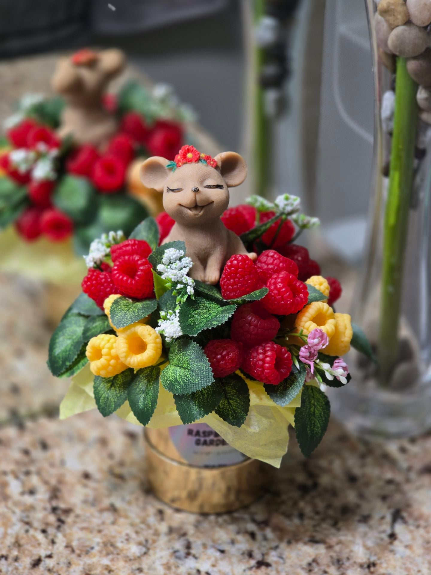 Raspberry Garden