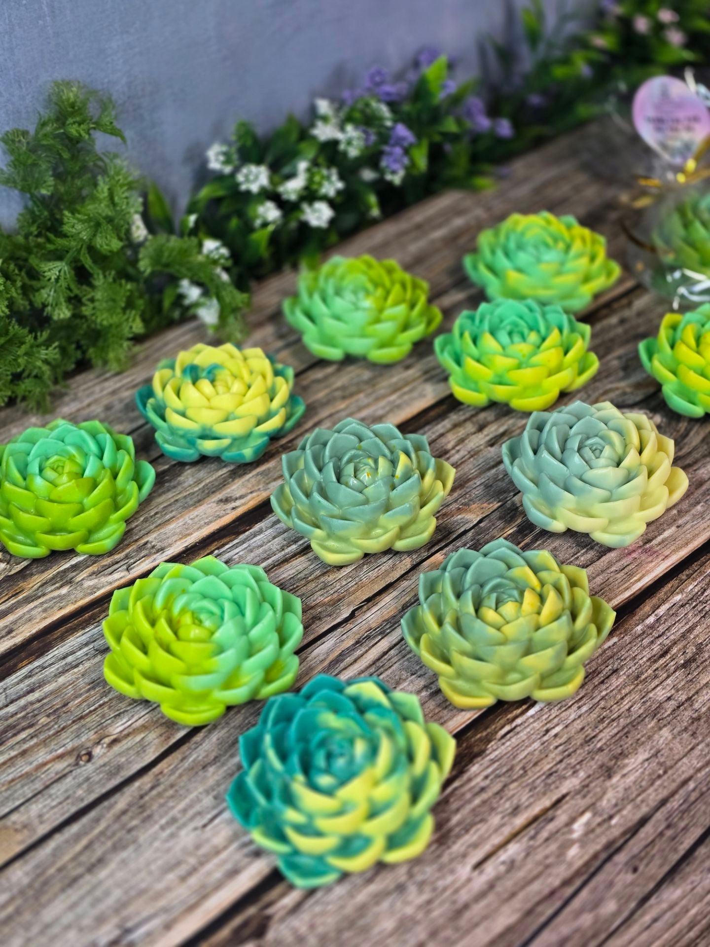 Succulent Bloom