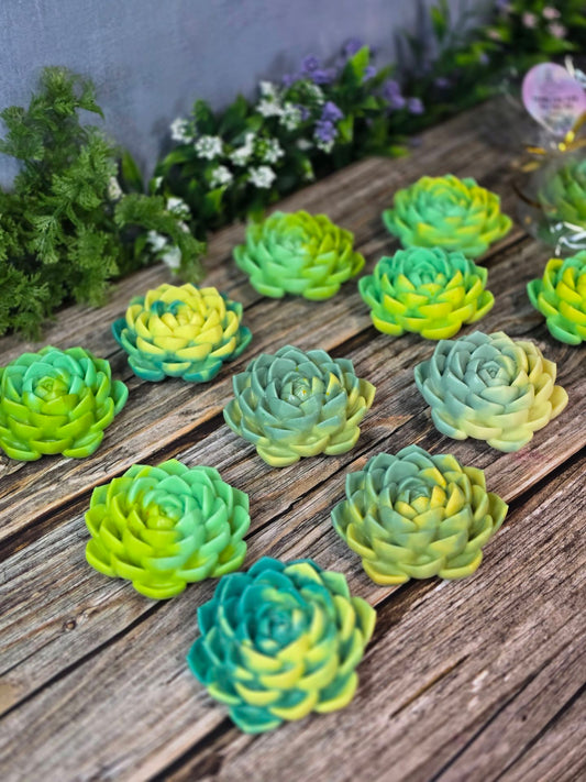 Succulent Bloom