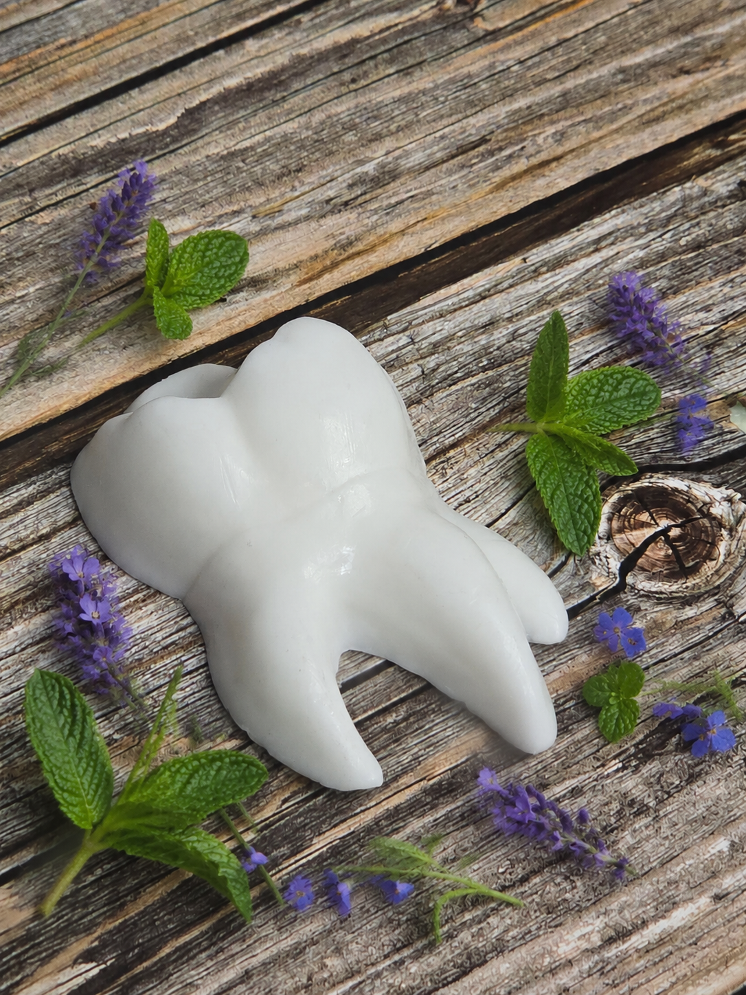 Tooth Soap Favor