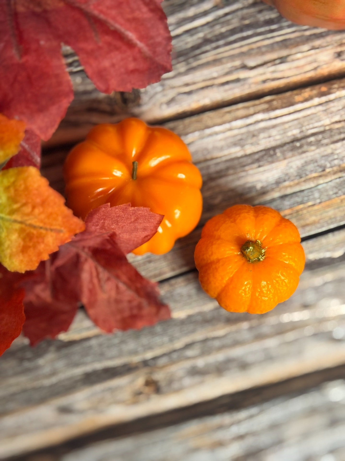 Pumpkin Patch