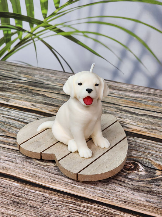 Labrador Love