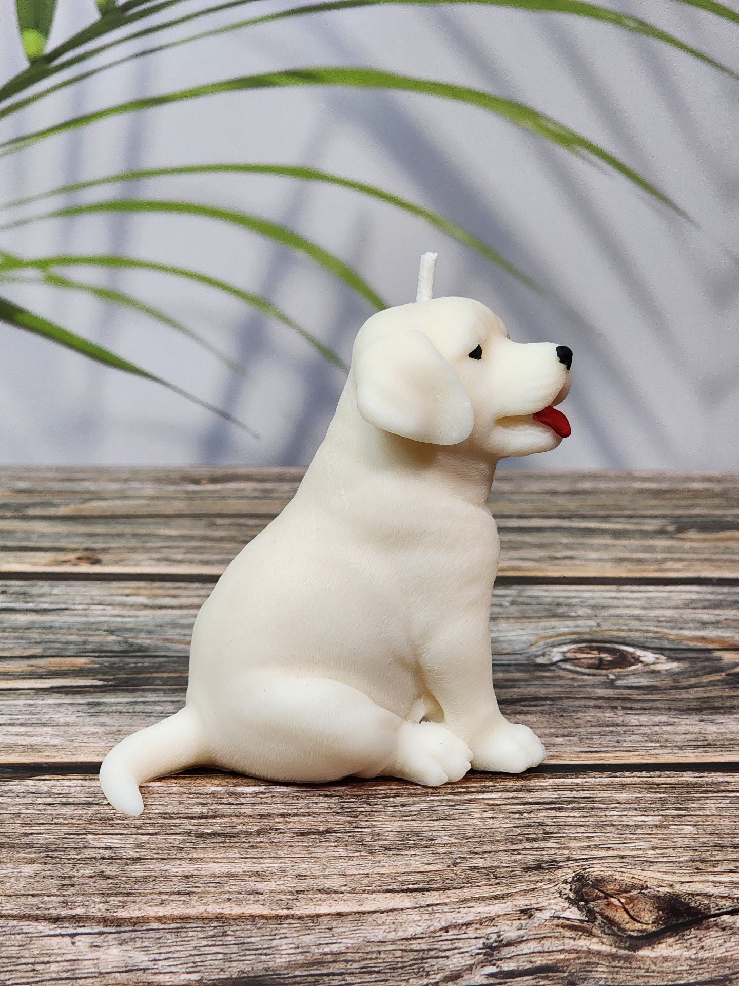 Labrador Love