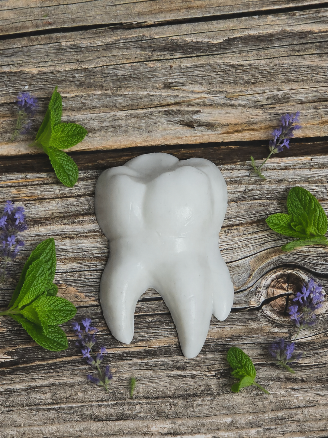 Tooth Soap Favor