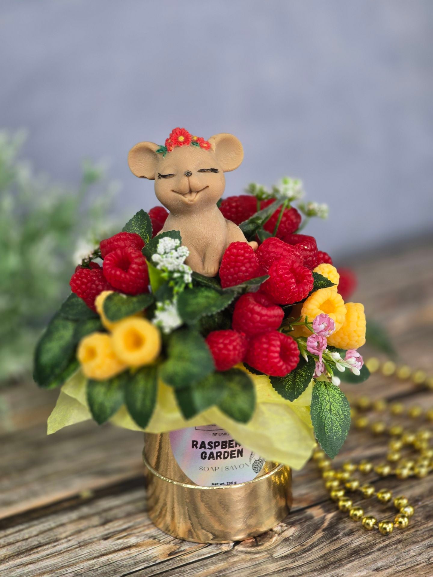 Raspberry Garden