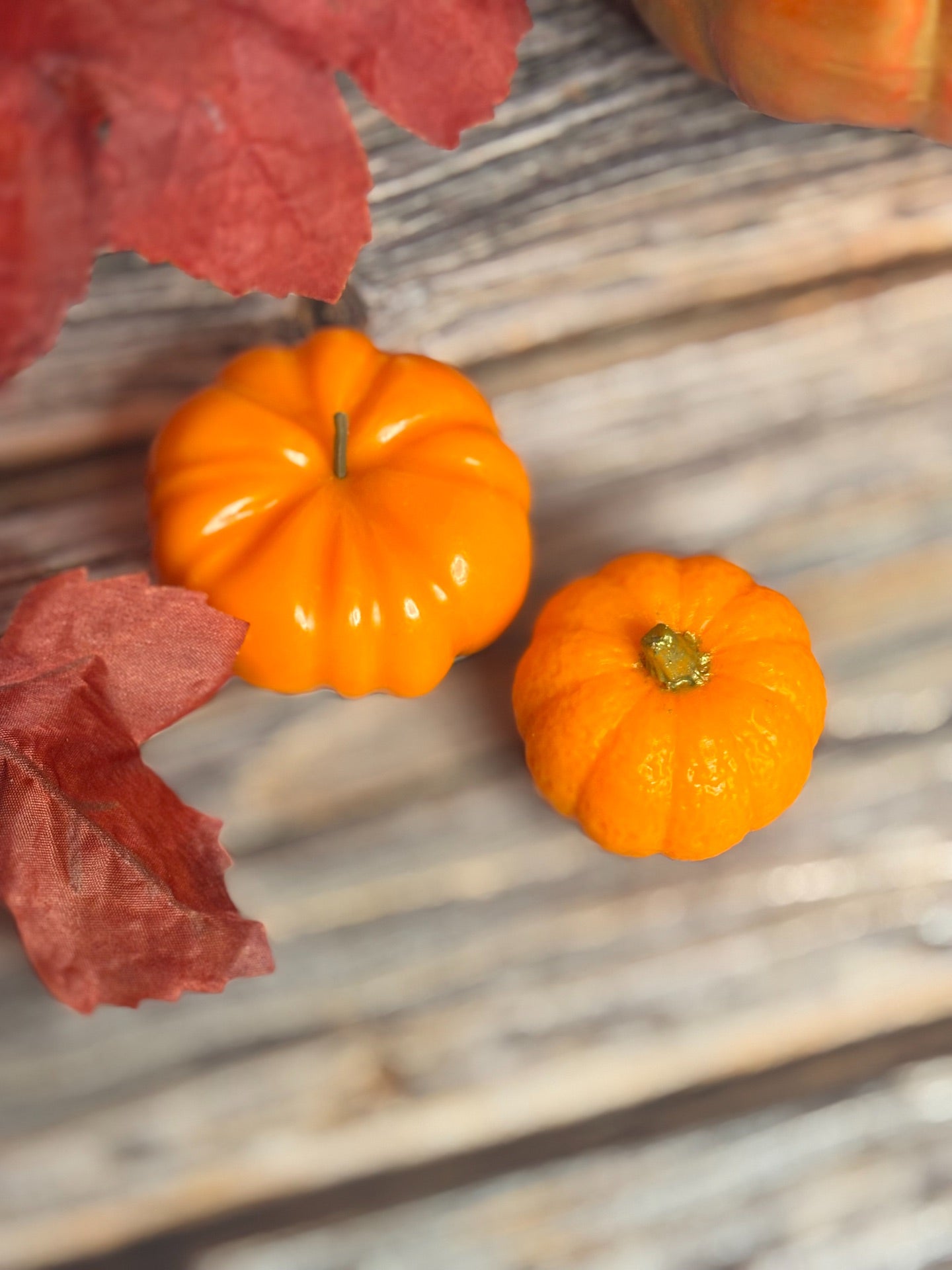 Pumpkin Patch