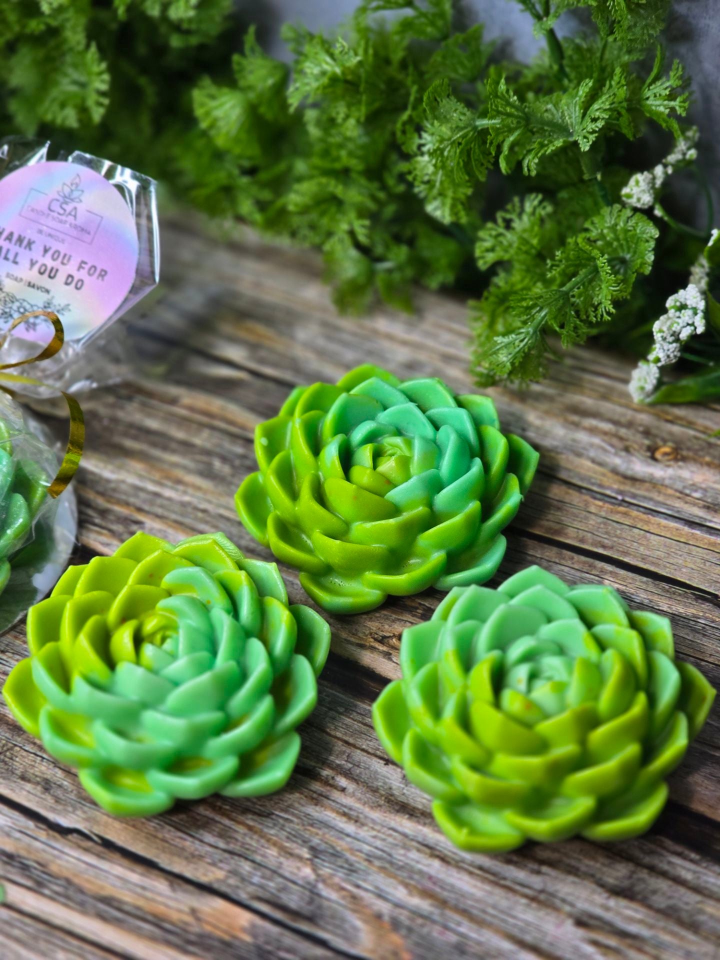 Succulent Bloom