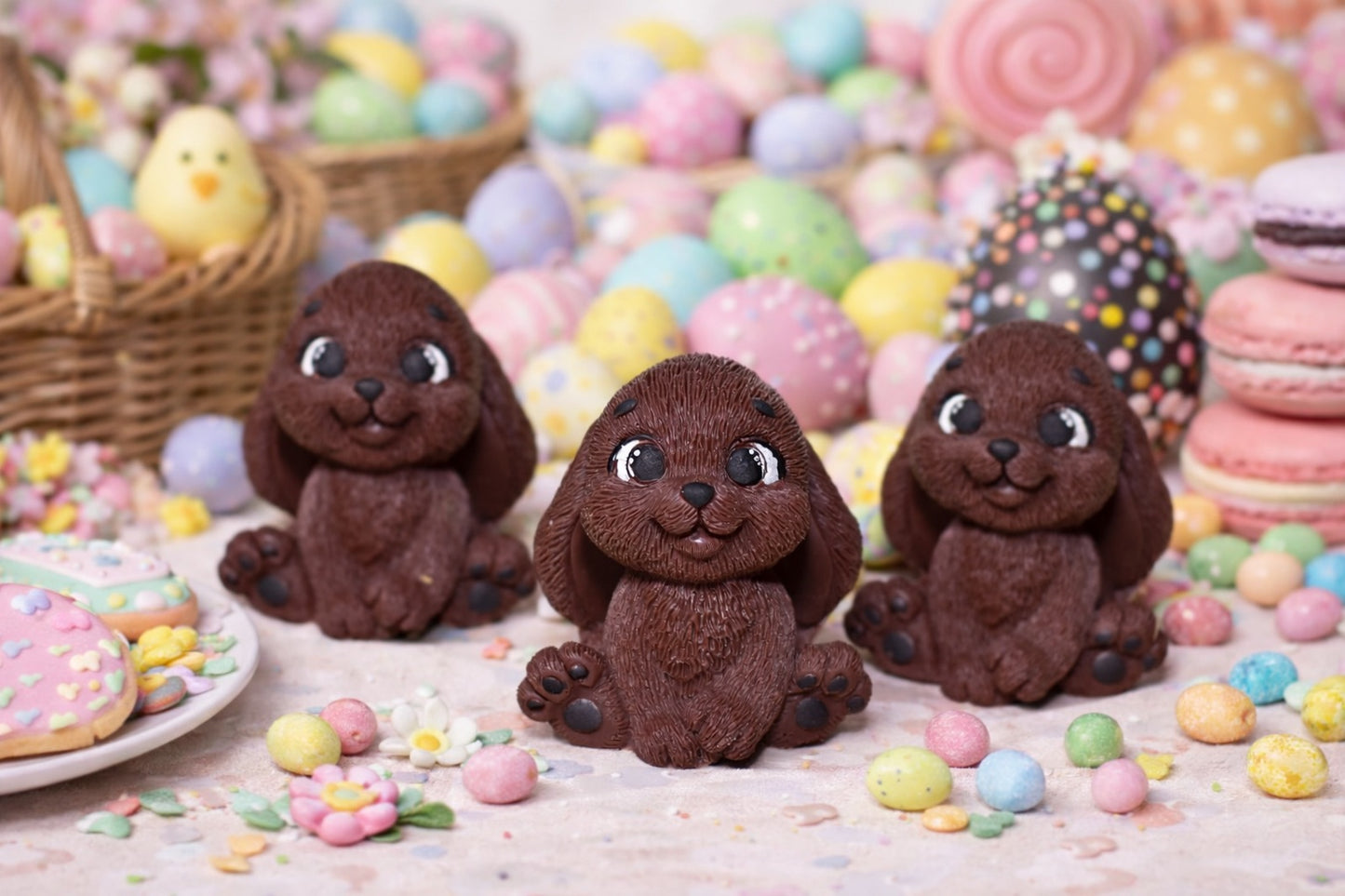 Chocolate Bunny
